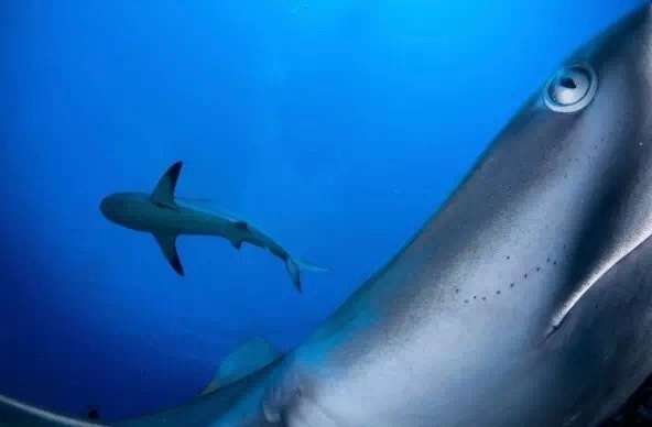 浙江好口碑自适应网站建设优化建站_网站优化过程中必须有哪些问题